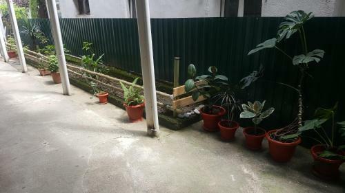 Hostal Guest House On Sosnalieva 12