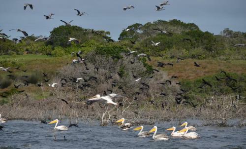 Hotel De Hoop Collection - Vlei Cottages