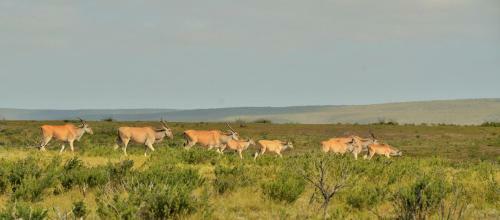 Hotel De Hoop Collection - Equipped Cottages