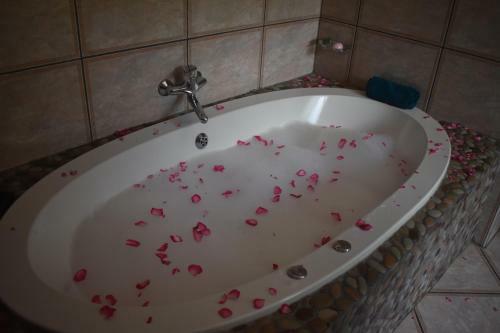 Apartamento House Alika