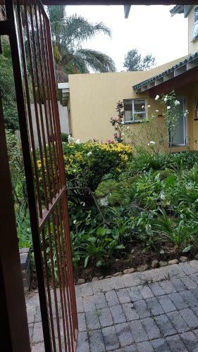 Hostal Matina Guest House