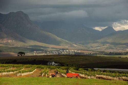 Fransmanscottage - Farm Lifestyle Accommodation