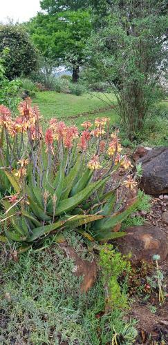 Agroturismo Piccadilly Farm Cottage