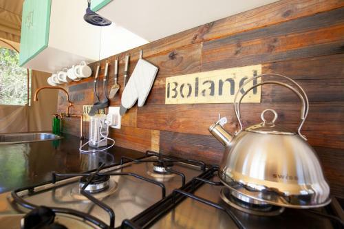 Africamps At White Elephant Safaris