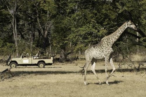 Lodge Wilderness Safaris Toka Leya