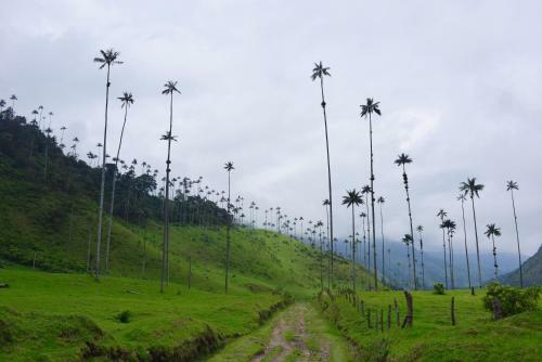 Hotel El Mirador Del Cocora