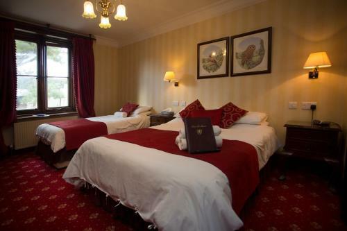 Bed & Breakfast Parc-le-breos House