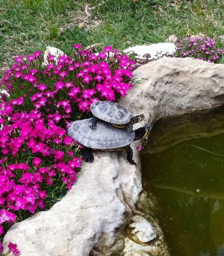 Agroturismo B&B La Corte Dei Samidagi