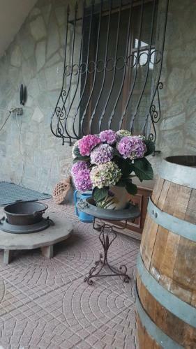 Agroturismo B&B La Corte Dei Samidagi