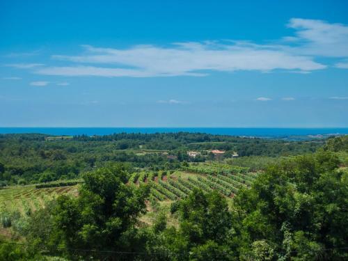 Luxurious Villa In Vizinada With Swimming Pool