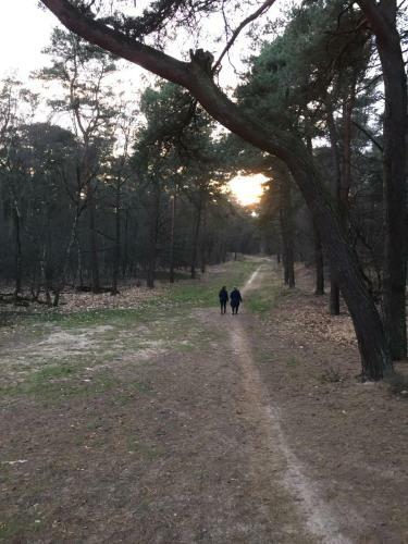 Bed & Breakfast De Olde Veld Hoeve