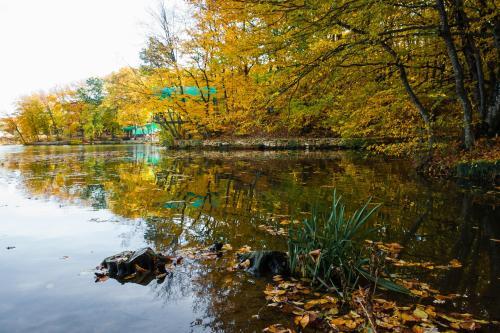 ???? ?????? ?????? ?????