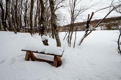 ???? ?????? ?????? ?????