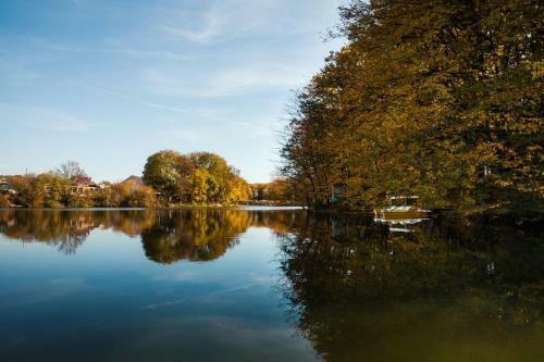 ???? ?????? ?????? ?????