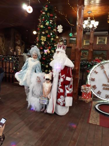 ???? ?????? ?????? ?????