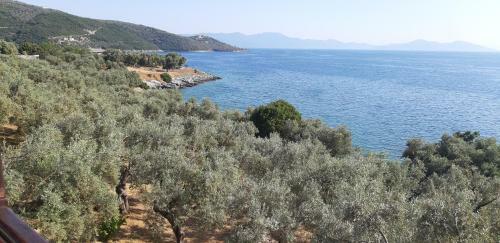 Villa Leonidas Greecegrandtour