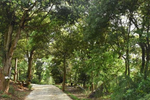 Bed & Breakfast ????