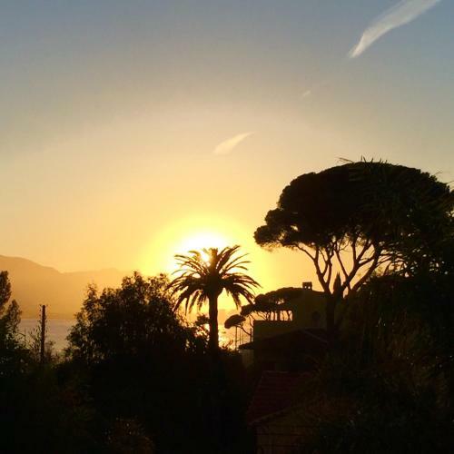 Bed & Breakfast Villa Tricia Cannes