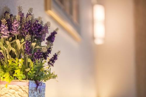 Hotel Zamburger Lavender Nusa