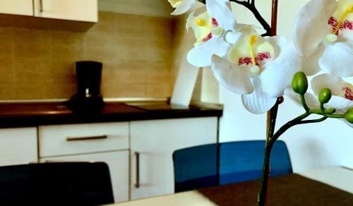 Apartamento Mar Paraiso