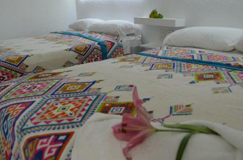 Hotel Vicalis