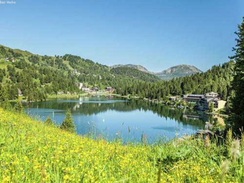 Apartamento Alpenresidenz Turrach 1