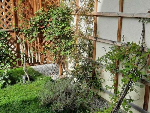 Modern Apartment In Tamsweg With Garden