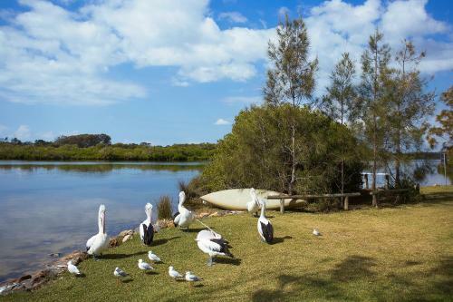 Stuarts Point Holiday Park