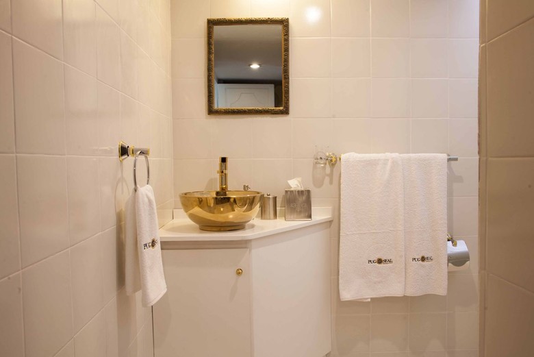 Pug Seal B&B Coyoacan