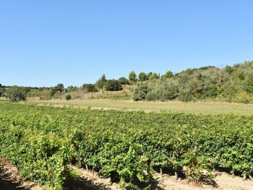 Luxury Villa In Preixan With A View Of Carcassonne