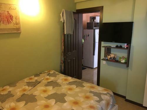Family Apartment Mgzavrebi