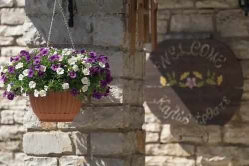 Hotel Ameliko Zagori