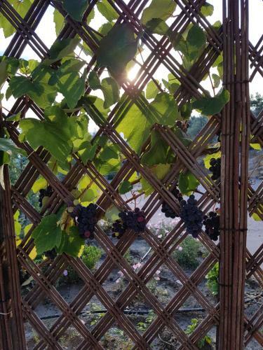 Pelion Villa Alkistis Myth And Magic