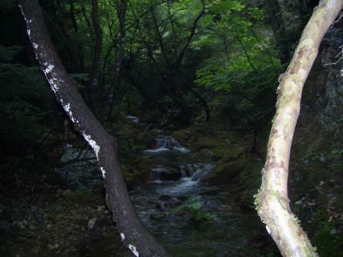 Hostal Guesthouse Kastania