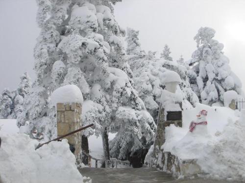 Hostal Guesthouse Kastania
