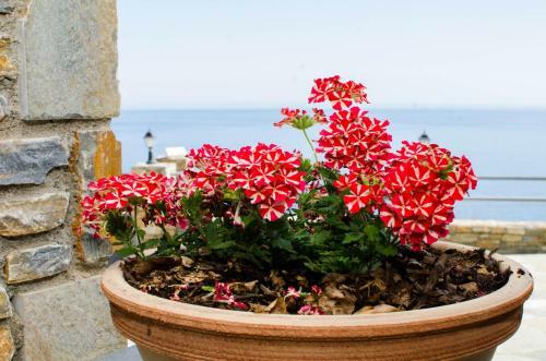 Apartamento Guesthouse Enastron