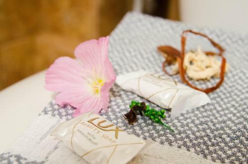 Apartamento Guesthouse Enastron