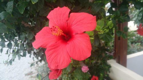 Apartamento Creta Sun Mochlos