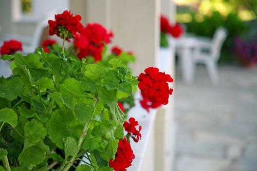Philoxenia Hotel