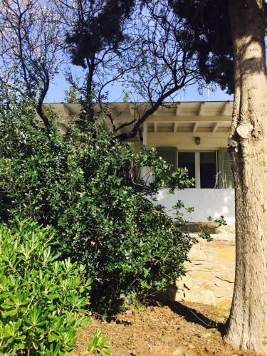 Hostal Onar Studios & Residences