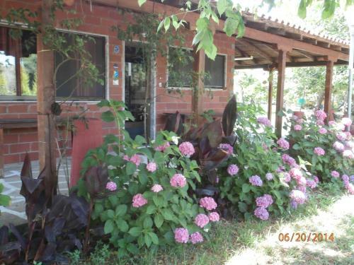 Apartamento Perseus Studios