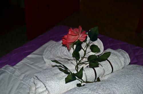 Apartamento Amversa's Rooms