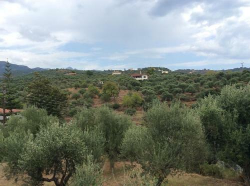 Apollon Apartments