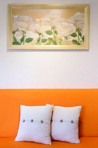 Studio Apartment Maslina