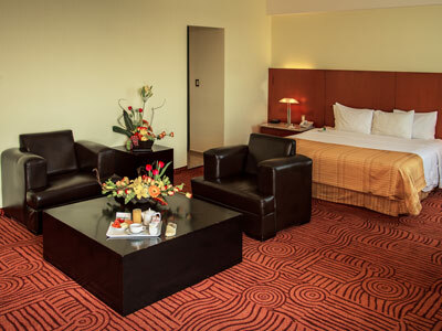 Hotel Holiday Inn Puebla Finsa