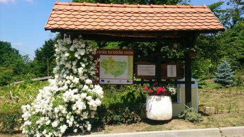 Bed & Breakfast Pansion Rody