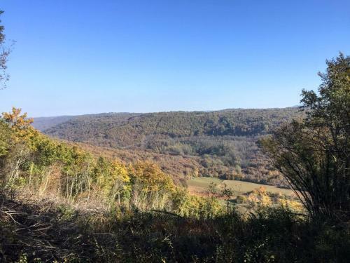Istria Camp - Istria Holiday For 2