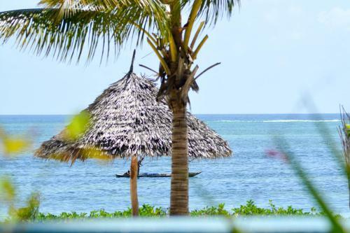 Hostal Bwejuu Beach Palm Villa