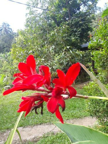 Hostal Sugi Gede Homestay