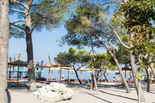 Holiday Luxury Apartments